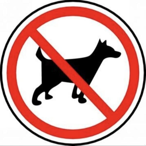 Accuform Adhesive Poly, 6 in x 6 in, Adhesive MPCS546VS - main